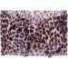 Nishine 5PCS Baby Girls Soft Leopard Hair Turban Head Wraps - Kids Stretchy Knotted Bows Headband for Children - Buy Online on GoSupps.com