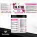 Foodelis Cr atine Monohydrate Aromatis e en Poudre 500 g Go t Lollipop Cr atine Micronis e de Haute Qualit Sans Sucre Ajout V gan Haute Solubilit Doseur Inclus - Buy Online on GoSupps.com
