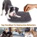 RundA 17'' x 21'' Snuffle Mat for Dogs - Interactive Feed Game for Natural Foraging and Stress Relief - Small/Medium/Large Dogs - Buy Online on GoSupps.com