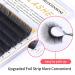 Premium 2D Curl Eyelash Extensions 8-15mm Mix | Individual Silk & Volume Lash Supplies - Buy Online on GoSupps.com