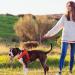 Adjustable Breathable Dog Harness for Small Medium Large Dogs - Red (45-66cm) - Buy Online on GoSupps.com