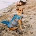Mazort Dog Life Jacket - Reflective Shark Swimsuit for Large Dogs - Blue XX-Large - Buy Online on GoSupps.com