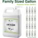 Green Oak Professional Lens Cleaner Refill - 1 Gallon (128 Fl Oz) | For Eyeglasses, Cameras, and Lenses | Safely Cleans Fingerprints, Dust, and Oil - Buy Online on GoSupps.com