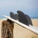 Solid Fiberglass Surf Squared Twin Thruster or Quad Fin Set - Lightweight & Durable - Futures Single Tab/FCS1 Twin Tab Compatible - Buy Online on GoSupps.com