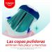 Colgate 360 Soft Toothbrush - 12 Pack with Cap | Effective Oral Bacteria Removal - International Shipping Available - Buy Online on GoSupps.com