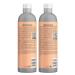 Bed Head by TIGI Moisture Maniac Shampoo & Conditioner Set - Sulfate-Free, with Argan Oil - 25.36 fl oz (Pack of 2) - Buy Online on GoSupps.com