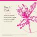 Bach Original Flower Remedies Oak - Restore Endurance - Natural Homeopathic Flower Essence for Emotional Balance - Vegan Gluten Free Sugar Free - 20mL Dropper - Buy Online on GoSupps.com