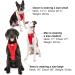 Kurgo Tru-Fit Dog Safety Harness - Padded Chest Panel & D-Ring Includes Car Seat Belt Size M Gray - International Shipping Available - Buy Online on GoSupps.com