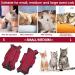 Cobee Professional Recovery Suit for Cats | Abdominal Wounds Surgery & Skin Diseases | E-neck Band Alternative | Size M Red - Ideal for Kittens & Dogs - Buy Online on GoSupps.com