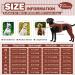 Buy Hjyokuso Recovery Suit for Dogs - Leg Surgery & Licking Prevention Sleeves - Size S Brown - Buy Online on GoSupps.com