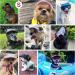 Pawaboo Dog Baseball Cap | Adjustable Sun Protection Hat for Puppies | Floral Violet Design | International Shipping Available - Buy Online on GoSupps.com