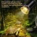 Sunshine Smile Turtle Heat Lamp - 25W & 50W for Reptiles | Terrarium Heat Lamp for Turtles (2PCs) - Buy Online on GoSupps.com