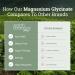 Chelated Magnesium Glycinate 500mg - High Absorption Supplement for Men & Women - 120 Capsules for Heart, Nerve, & Bone Support - Buy Online on GoSupps.com