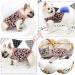 Stylish Dog Sweaters & Cat Sweaters - Perfect for Small to Large Pets | Chihuahua & Bulldog Clothing in Leopard & Pink - Buy Online on GoSupps.com