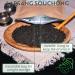 Lapsang Souchong Smoked - Premium Black Loose Leaf Tea (Lapsang Souchong 175g) Lapsang Souchong 175g - Buy Online on GoSupps.com