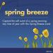 Secret Original Spring Breeze Scent Women's Antiperspirant & Deodorant 2.6 Oz x 6-Pack - Buy Online on GoSupps.com