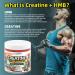 Creatine Monohydrate Gummies HMB Supplements for Men - Creatine and HMB Supplement for Boost Strength Performance Build Muscle Supports and Muscle Growth & Recovery - Buy Online on GoSupps.com