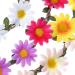 Multicolor Floral Headband Set - 5 Pack with Adjustable Elastic Band | Stylish Accessories for All Occasions | International Shipping Available - Buy Online on GoSupps.com