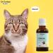 Dr Corbyn Pets Valerian Drops | Calming Supplement for Dogs, Cats & Pets | Supports Relaxation & Stress Relief (50ml) - Buy Online on GoSupps.com