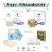 Buy Lorandos 100% Cotton Terry Cloths - Reusable Baby Squares (25x15cm) - Ultra-Absorbent Washable & Perfume-Free - Eco-Friendly Baby Care - Buy Online on GoSupps.com