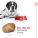 Royal Canin Dog Food Giant Adult 4kg - Buy Online on GoSupps.com