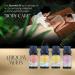 Abloom Moon Massage Oil Gift Box - 4 x 10ml Essential Oils for Aromatherapy Massage & Hair Care | Rose Jasmine Lavender - Buy Online on GoSupps.com
