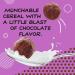 Chocolate Wonderworks Keto Friendly Cereal - 1g Sugar, 10.2 oz | Perfect Keto Snack - Buy Online on GoSupps.com