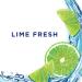 Domestos Power 5 Lime Toilet Rim Block - 55g | Up to 300 Flushes | 3x More Limescale Prevention | Pack of 1 - Buy Online on GoSupps.com