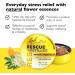 Travel Stress & Sleep Bundle: Bach RESCUE Orange & Elderflower + Sleep Liquid Melts + Remedy Spray 7mL - Homeopathic Flower Remedies - (3 Pack) - Buy Online on GoSupps.com