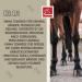 Emma Clay Horse Paste 1.5kg - Cooling Muscle & Joint Relief with Arnica | Mineral Clay Healing Gel for Horses - Buy Online on GoSupps.com