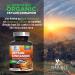 Certified Organic Ceylon Cinnamon Capsules 1800mg - Vegan Cinnamomum Verum Vitamins - 120 Capsules - Buy Online on GoSupps.com