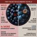 Numami Organic Wild Blueberry Powder | Antioxidant-Rich | Vitamin C | Nordic Forest Harvested | Ideal for Smoothies & Baking - Buy Online on GoSupps.com