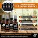 Urbane Men Beard Oil For Men Set of 4 Premium Beard Kit with Sandalwood Vanilla Cedarwood Unscented Essential Oils Moisturising Beard Conditioner Gift Set - Buy Online on GoSupps.com