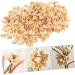 COHEALI 1 Pistachio Shell Kids Crafts Kids DIY Craft Charms Material DIY Accessory Child Decorate Self Made As Shown 2X1.2CM - Buy Online on GoSupps.com