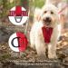 Kurgo Tru-Fit Car Safety Harness for Dogs - Padded Chest Panel D-Ring & Seat Belt - Size XS Gray - Safe Travel for Pets - Buy Online on GoSupps.com