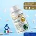 Collagen and Hyaluronic Acid + Vitamin C Biotin Zinc and Iron | Colageno Concentrated Formula With Marine Collagen for Men and Women | Hair Food Supplement 60 Capsules - Buy Online on GoSupps.com