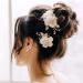 AW BRIDAL Bridal Hair Clips 2 Pcs Flower Wedding Hair Comb Pins Wedding Hair Accessories for Bride (Gold)