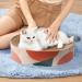 ComSaf MSBC Cat Scratcher Cardboard Corrugated Scratch Pad - Oval Cat Scratcher Lounge Bed and Furniture Protector with Training Toy - Buy Online on GoSupps.com