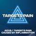 Advil Dual Action Back Pain Caplets - 250mg Ibuprofen & 500mg Acetaminophen - 18 Count for 8 Hours Relief - Buy Online on GoSupps.com