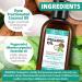 Coconut Pulling Oil - 120ml Mint Mouthwash | Natural Alcohol-Free Teeth Whitening & Gum Health | Includes Tongue Scraper - Buy Online on GoSupps.com