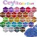 Ceya Black Holographic Chunky Glitter Powder 4.2oz - Nail Art, Hair, Epoxy Resin, Tumblers, Slime, Painting & Festival Decor - Buy Online on GoSupps.com