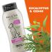 Wahl Flea & Tick Repelling Dog Shampoo 24 Oz - Defense Formula with Eucalyptus, Cedar & Rosemary - Buy Online on GoSupps.com