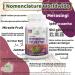 Ayushya Gymnema Sylvestre Capsules - 500mg Pure Extract (60 Capsules) - Buy Online on GoSupps.com