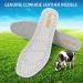 Premium Leather Insoles for Men & Women | Nonslip Shoe Inserts for Comfort & Odor Control - 3 Pairs - Buy Online on GoSupps.com