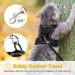 CatRomance XS Black Cat Harness: Escape Proof, Breathable Mesh, Adjustable with Leash Set and Reflective Strips - Buy Online on GoSupps.com