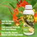 1st Cold Pressed Pure Virgin Neem Oil - 1 Liter - 100% Natural Certified Organic - Buy Online on GoSupps.com