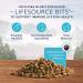 Blue Buffalo Wilderness High Protein Grain Free Kitten Dry Cat Food - Chicken, 5lb Pack - Buy Online on GoSupps.com