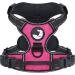 Joytale dog harness Small dogs reflective soft padded dogs curve ant train adjustable breathable breast harness with safe simple control handle bright pink s s (1 pack) bright pink