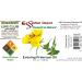 Evening Primrose Oil 4 oz - GC/MS Tested - Pure & Safe in Amber Glass Bottle - International Shipping Available - Buy Online on GoSupps.com