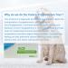 10Pcs Canine Progesterone Test Strips for Progesterone Machine - Buy Online on GoSupps.com